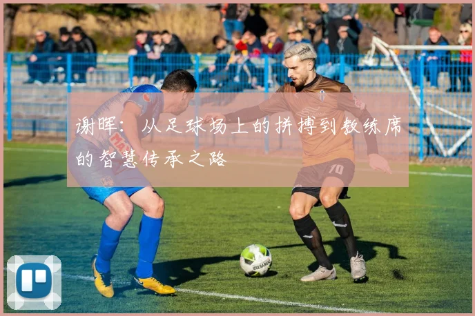谢晖：从足球场上的拼搏到教练席的智慧传承之路